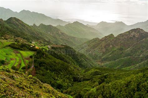 Green Mountain Slopes Of Anaga National Park Tenerife Canary Islands