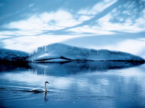 Get inspired by thousands of beautiful color schemes and make something cool! Simply Beautiful Photographs, Tips on Using Palette and ...