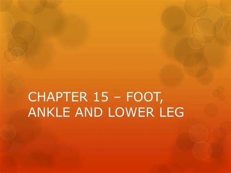 Ppt Chapter 15 Foot Ankle And Lower Leg Powerpoint Presentation