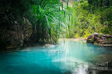 Jungle Landscape With Flowing Turquoise Photograph by Perfect Lazybones