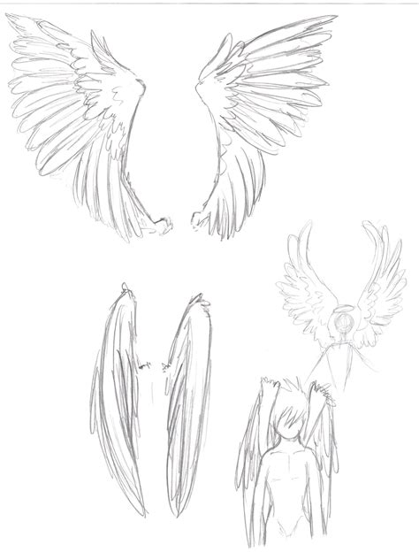 Angel Wing Sketch By Ookamiko On Deviantart