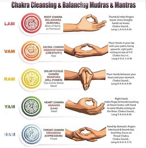 Pin By Rachel Roberts Grayberry On Yoga Chakra Meditation Mudras Chakra Yoga
