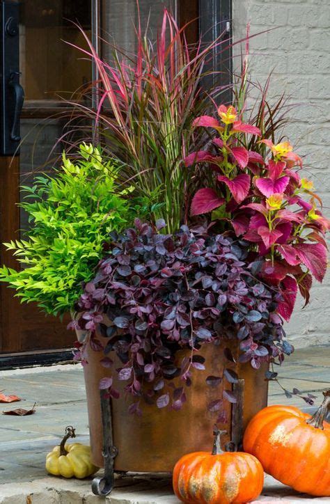 Fall Container Gardens Love The Colors That Fuchsia Color Is