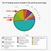 2 leading causes of death - Business Insider