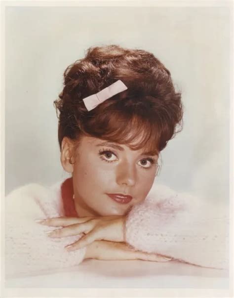 Dawn Wells Gilligans Island Star Glamour Portrait Vivid Color Vintage