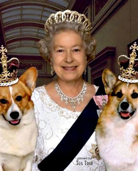 Téa Tosh The Queen And Her Royal Corgis Corgi Queen Elizabeth Royal