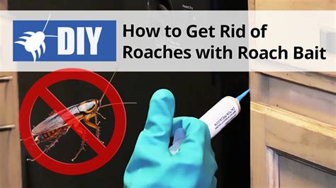 How To Get Rid Of Roaches With A Roach Motel Pest Pointer