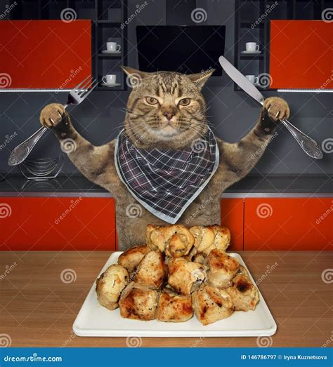 Cat Eats Grilled Meat In A Kitchen Stock Image Image Of Dining Full