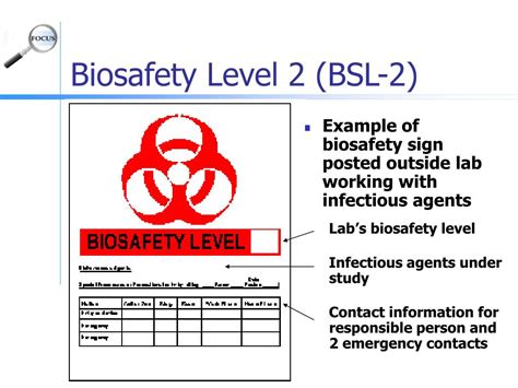 Ppt Laboratory Biosafety Levels Powerpoint Presentation Free Download Id