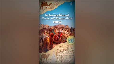 2024 🐪 International Year Of Camelids 🌍iyc2024 Camel Getsiediciones