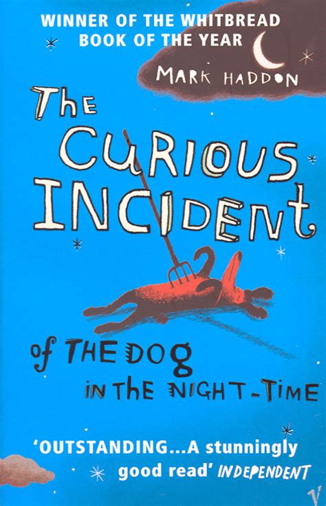 Scc English Ty Recommendations 2 The Curious Incident