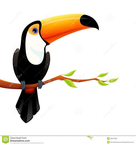 Toucan Clipart 20 Free Cliparts Download Images On