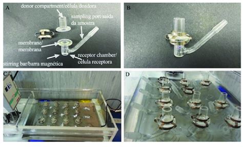 Representation Of The Franz Cell Diffusion System A Parts Of The