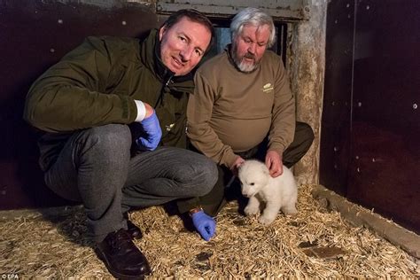 Polar Bear Cub Waves At German Zoo Which Is Asking For Public To Name