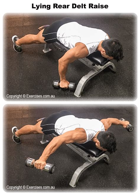 Lying Rear Delt Raise Is An Effective Exercise For Targeting The