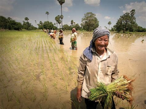 Causes Of Poverty In Cambodia Maintaining Growth