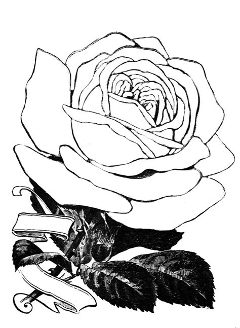 You can comment, issues or maybe you want to give us suggestion, just let us know it. Flower Coloring Pages