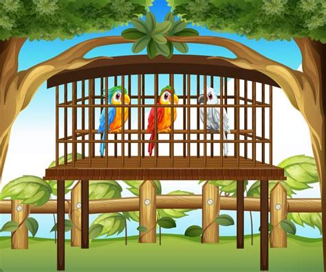 Macaw Parrots In Wooden Cage 519862 Vector Art At Vecteezy