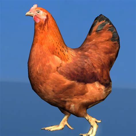 Also, you can adjust, crop and erase backgrounds to create the perfect picture. Chicken (animated) | OpenGameArt.org