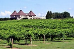 Vineyard And Winery Background Free Stock Photo - Public Domain Pictures