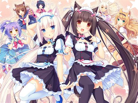 Wallpaper Illustration Anime Thigh Highs Maid Outfit Neko Para