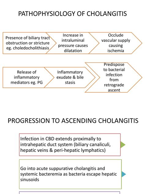 Pathophysiology Of Cholangitis