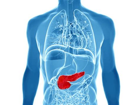 Acute Pancreatitis Causes Symptoms And Treatments Medical News Today