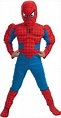 ≫ Disfraz Spiderman Niño Disney > Comprar, Precio y Opinión 2023