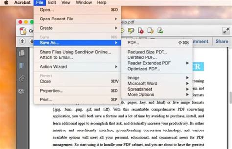 Your Complete Guide To Convert Pdf To Word On Mac For 2020