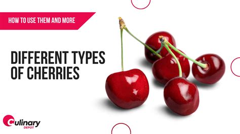 Different Types Of Cherries How To Use Them And More Culinary Depot