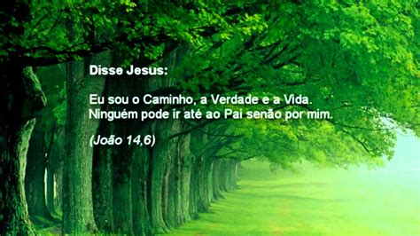 Compartilhar Versículos Do Dia Jesus O Caminho A Verdade E A Vida