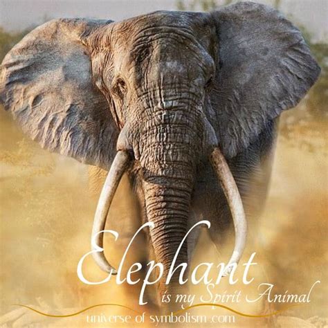 Elephant Symbolism And Meaning Elephant Spirit Power And Totem Animal