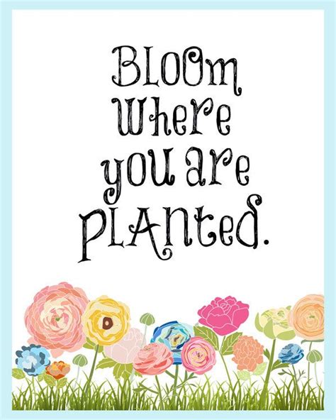 Bloom Where You Are Planted 8x10 Wall Art Inspirational Flowers Quote