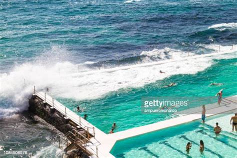 Sunbathers Bondi Photos And Premium High Res Pictures Getty Images