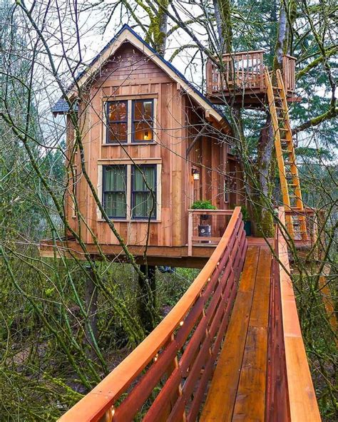 Would You Live In These Treehouse Cabins Beautiful Tree Houses Tree House Designs Cool Tree