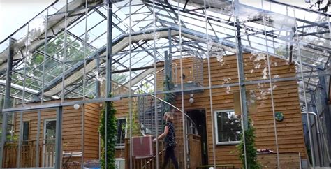 Swedish Couple Builds A Greenhouse Around Their Stockholm Home