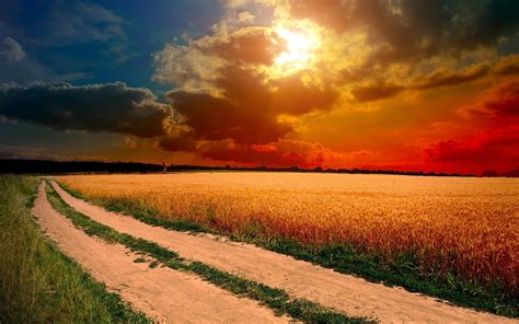 Free Download Hd Wallpaper Sunset Clouds Landscapes Sun Fields