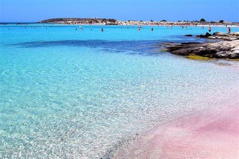 Elafonisi The Pink Sand Beach Crete Compare Price 2023