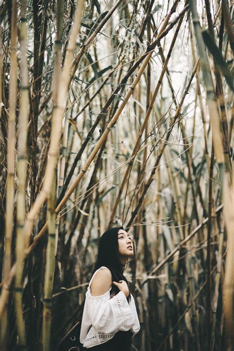Those breaking through the bamboo ceiling must have the skills and competences that make them standard bearers for others. Why Asian Americans Need to Stop Focusing on Breaking ...