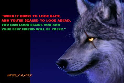 Lone Wolf Cool Wolf Quotes Quotesgram