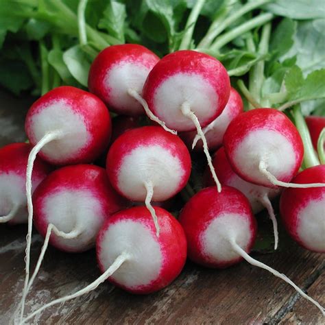 3 Tips For Buying Radishes Thoroughly Nourished Life