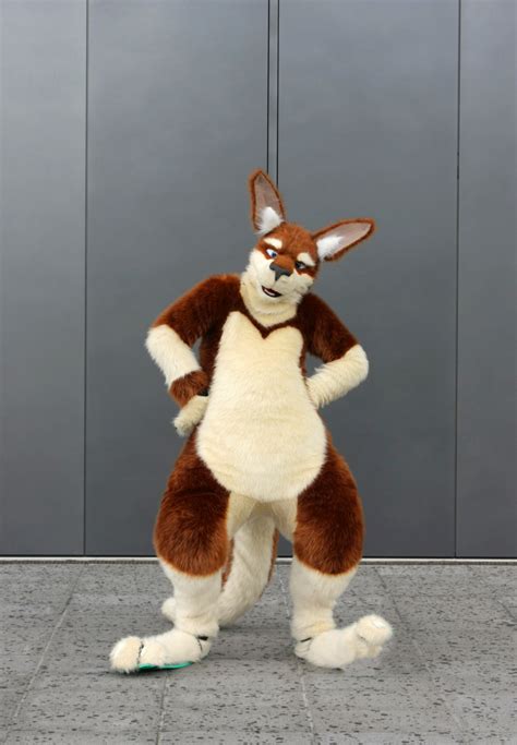 Wildspotworks Fursuit Gallery Of Luno Wroo The Kangaroo