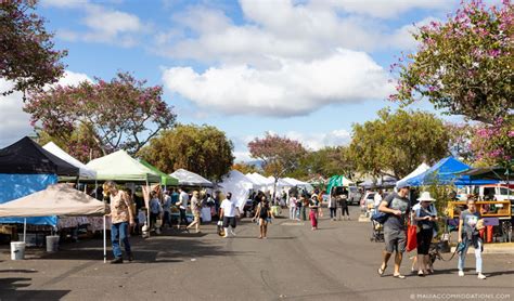 The Ultimate Guide To Farmers Markets And Fruit Stands On Maui Maui