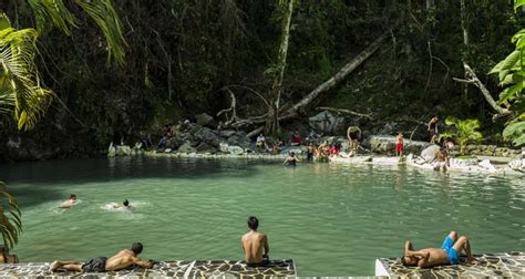 Parque Nacional Tingo María 5 atractivos imperdibles de esta maravilla