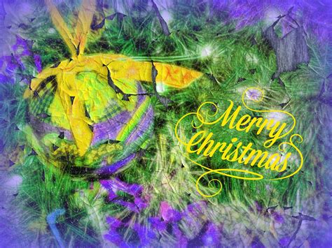 Purple And Gold Textured Greeting Free Stock Photo Public Domain Pictures