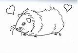 Guinea Pig Coloring Pages Print Color Kids Ginnie Printable Cute Number Animals Dog Realistic Popular Template sketch template