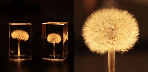 The Secret To These Led Lamps Are Real Dandelions