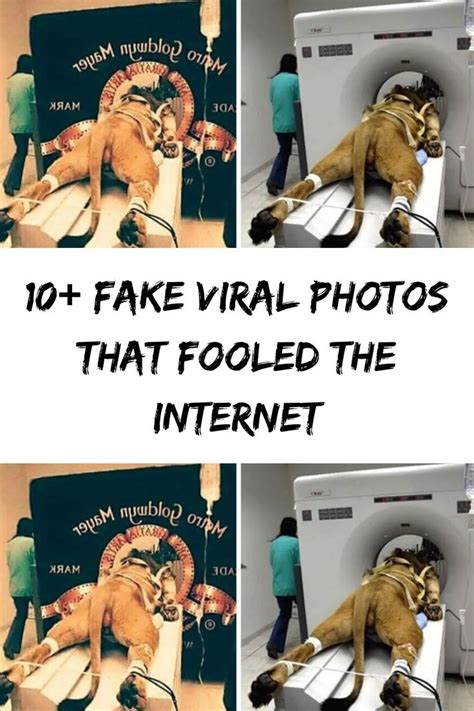 10 Fake Viral Photos That Fooled The Internet In 2022 The Fool