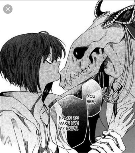 The Ancient Magus Bride Manga Review (no spoilers) | Anime Amino