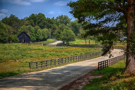 Georgia Farm Stock Photos Pictures And Royalty Free Images Istock